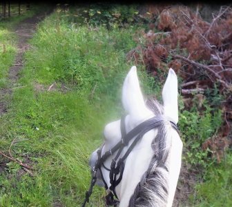 firsthack.JPG firsthack.JPG