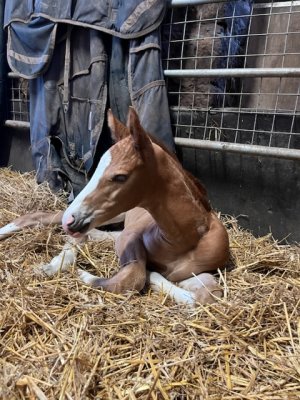 D571BB95-4FE7-40A9-A991-855DA9171977.jpeg D571BB95-4FE7-40A9-A991-855DA9171977.jpeg