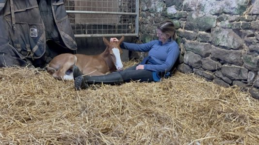 E12947C5-12B4-4361-9B4B-4F8F416A8C63.jpeg E12947C5-12B4-4361-9B4B-4F8F416A8C63.jpeg