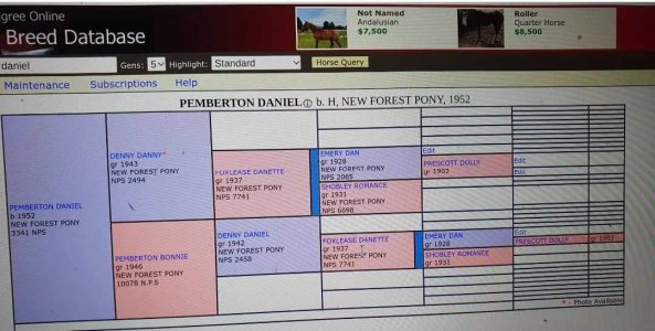 363509598_112011321979235_1292168516585950890_n.jpg 363509598_112011321979235_1292168516585950890_n.jpg