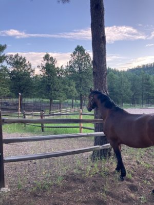 4B6E087D-738D-4849-9603-5ADADE00EB4F.jpeg 4B6E087D-738D-4849-9603-5ADADE00EB4F.jpeg