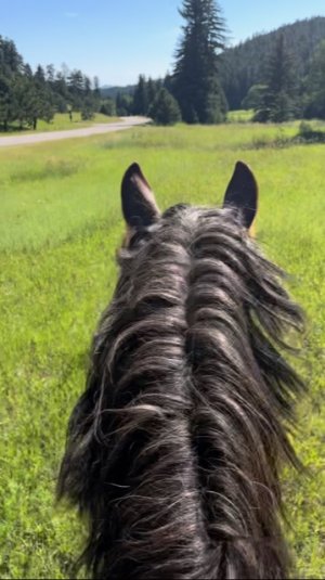 9E3DC3FD-79FD-4ECD-A156-45BD8F382366.jpeg 9E3DC3FD-79FD-4ECD-A156-45BD8F382366.jpeg