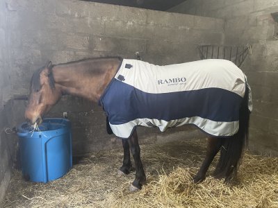 IMG_2123.jpeg IMG_2123.jpeg