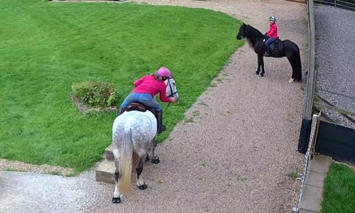 364086511_10224920626746919_4995177486110069630_n.jpg 364086511_10224920626746919_4995177486110069630_n.jpg