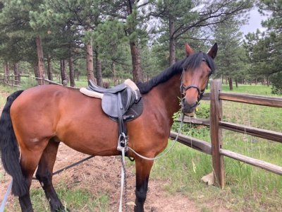 ACF9376B-96A1-4983-8B75-A144A97194B0.jpeg ACF9376B-96A1-4983-8B75-A144A97194B0.jpeg