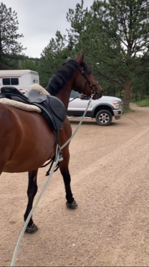 437C7100-B473-4F87-8FAE-17874C4CBD2E.jpeg 437C7100-B473-4F87-8FAE-17874C4CBD2E.jpeg