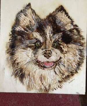 IMG_3206.jpeg IMG_3206.jpeg