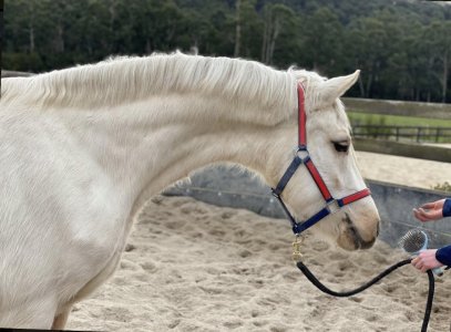 82E8DECF-E74B-46C7-BF9E-E8BBF5827A94.jpeg 82E8DECF-E74B-46C7-BF9E-E8BBF5827A94.jpeg