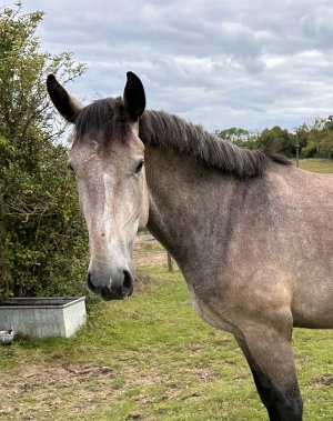 CB4DE775-F00C-4626-8171-6E2F9E7E5B89.jpeg CB4DE775-F00C-4626-8171-6E2F9E7E5B89.jpeg