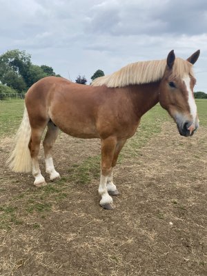 7DE9D90A-552F-45C9-88A2-25E38DD13EE4.jpeg 7DE9D90A-552F-45C9-88A2-25E38DD13EE4.jpeg