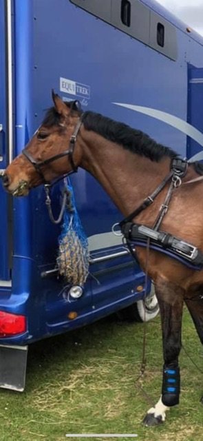 IMG_7607.jpg IMG_7607.jpg