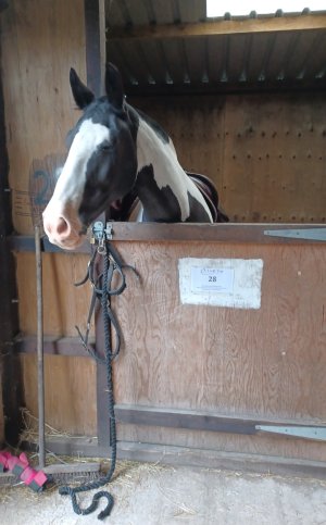 Screenshot_20230805_211321_Gallery.jpg Screenshot_20230805_211321_Gallery.jpg