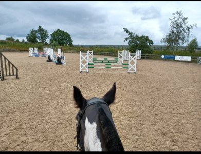 Screenshot_20230805_211310_Gallery.jpg Screenshot_20230805_211310_Gallery.jpg