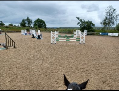 Screenshot_20230805_211304_Gallery.jpg Screenshot_20230805_211304_Gallery.jpg