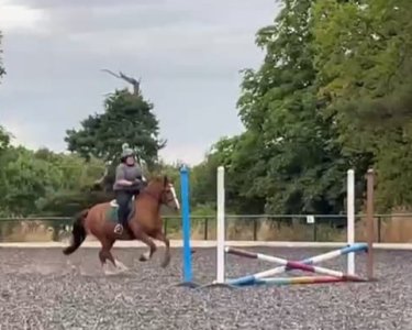 received_765606711425437.jpeg received_765606711425437.jpeg