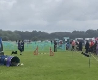 IMG_2819.jpeg IMG_2819.jpeg