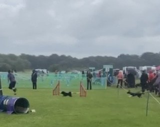 IMG_2818.jpeg IMG_2818.jpeg