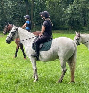 Screenshot_20230807_082829_Gallery.jpg Screenshot_20230807_082829_Gallery.jpg