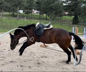 88D0AFD7-6A18-494A-ADCC-816BB0DEBCE3.jpeg 88D0AFD7-6A18-494A-ADCC-816BB0DEBCE3.jpeg