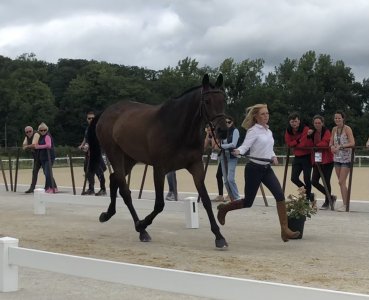 7876B74C-5ECD-4508-8292-A2439673CB6C.jpeg 7876B74C-5ECD-4508-8292-A2439673CB6C.jpeg