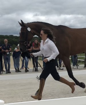 0ABA40CC-9AB6-44CD-BF97-2C879BFE16A1.jpeg 0ABA40CC-9AB6-44CD-BF97-2C879BFE16A1.jpeg