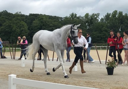 9D716730-6158-4CAC-8C12-48F6E1313A82.jpeg 9D716730-6158-4CAC-8C12-48F6E1313A82.jpeg