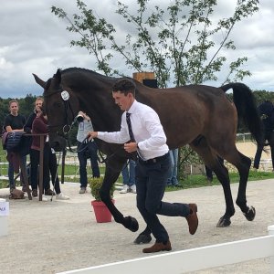 DCC62619-FE8D-4158-B6C0-4084DA0B6759.jpeg DCC62619-FE8D-4158-B6C0-4084DA0B6759.jpeg