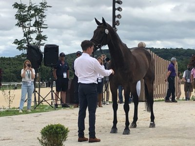 BA995AA9-FC9B-4BBF-BAC4-429A6508B700.jpeg BA995AA9-FC9B-4BBF-BAC4-429A6508B700.jpeg