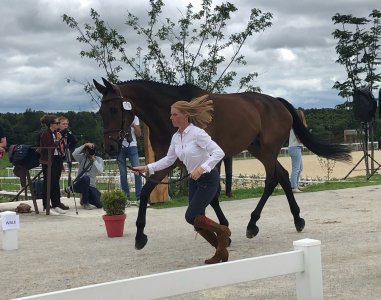 8F0B08DF-2299-487E-82BC-2D01D1C79B50.jpeg 8F0B08DF-2299-487E-82BC-2D01D1C79B50.jpeg