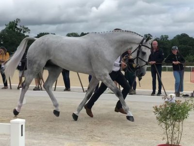 733EEBA8-9883-4076-B0EE-4E029233730E.jpeg 733EEBA8-9883-4076-B0EE-4E029233730E.jpeg