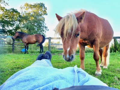 Screenshot_20230809_204213_Gallery.jpg Screenshot_20230809_204213_Gallery.jpg