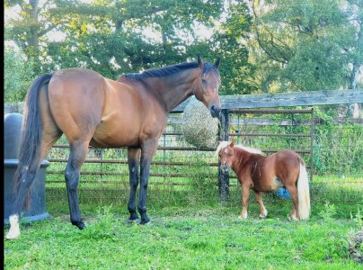 Screenshot_20230809_204541_Gallery.jpg Screenshot_20230809_204541_Gallery.jpg