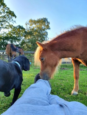 Screenshot_20230809_204802_Gallery.jpg Screenshot_20230809_204802_Gallery.jpg