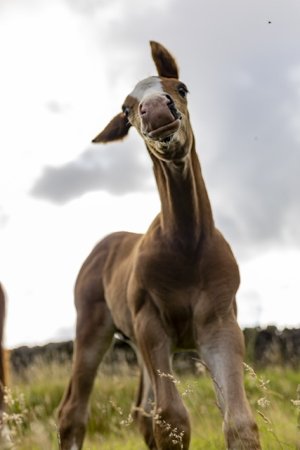 0C4B5632-E210-4376-8EF0-A53ADD7CD8B2.jpeg 0C4B5632-E210-4376-8EF0-A53ADD7CD8B2.jpeg