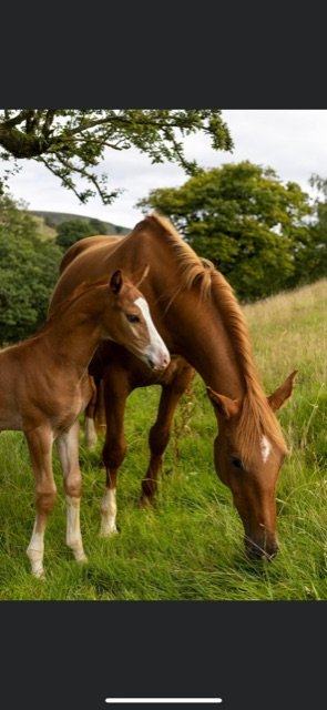 047B8DDE-7A85-460D-B6AA-16FBC62D2A0E.jpeg 047B8DDE-7A85-460D-B6AA-16FBC62D2A0E.jpeg