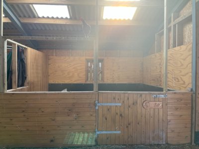 IMG_4125.jpeg IMG_4125.jpeg