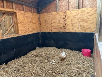 IMG_4127.jpeg IMG_4127.jpeg