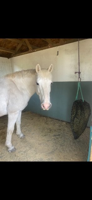 86392A38-7531-4878-8A48-FEB282E69834.jpeg 86392A38-7531-4878-8A48-FEB282E69834.jpeg