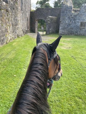 IMG_2147.JPG IMG_2147.JPG