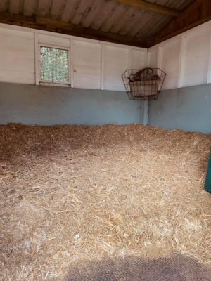 stables1.jpg stables1.jpg