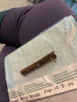 IMG_0291.jpeg IMG_0291.jpeg