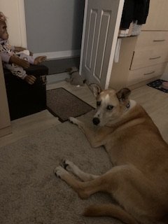 IMG_2267.jpeg IMG_2267.jpeg