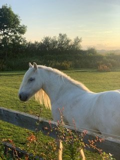 383A70CC-E9CB-4EF3-8A3B-CB618FD8D652.jpeg 383A70CC-E9CB-4EF3-8A3B-CB618FD8D652.jpeg