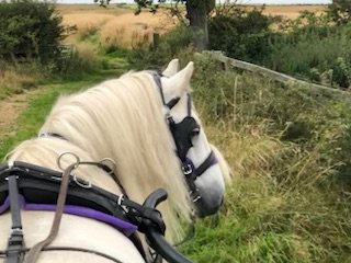 6A42911B-25BE-4EBC-8367-1770CFFCE6BE.jpeg 6A42911B-25BE-4EBC-8367-1770CFFCE6BE.jpeg