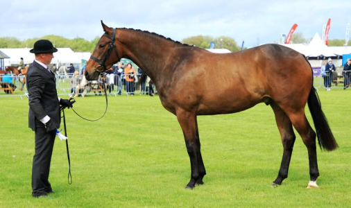 1692009064322.png 1692009064322.png