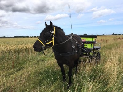 CED39477-92B9-4AD1-8852-6C2DE9A03B11.jpeg CED39477-92B9-4AD1-8852-6C2DE9A03B11.jpeg