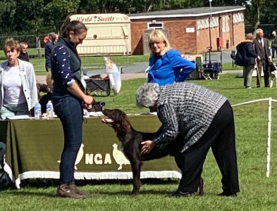 95785218-CE8A-4D8D-8ACE-47E4C7EDA631.jpeg 95785218-CE8A-4D8D-8ACE-47E4C7EDA631.jpeg