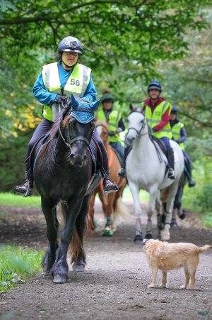 IMG_2643.jpeg IMG_2643.jpeg