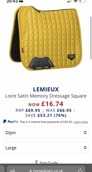 IMG_8153.jpeg IMG_8153.jpeg