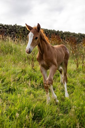 small 2.jpg small 2.jpg